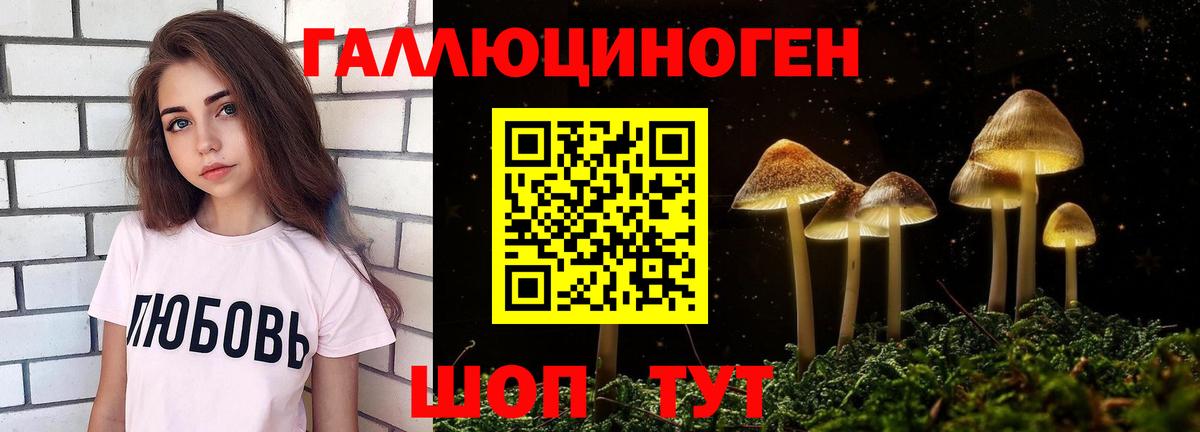 Галлюциногенные грибы ЛСД  Галлюциногенные грибы Psilocybine cubensis  Нурлат  Вход с VPN 